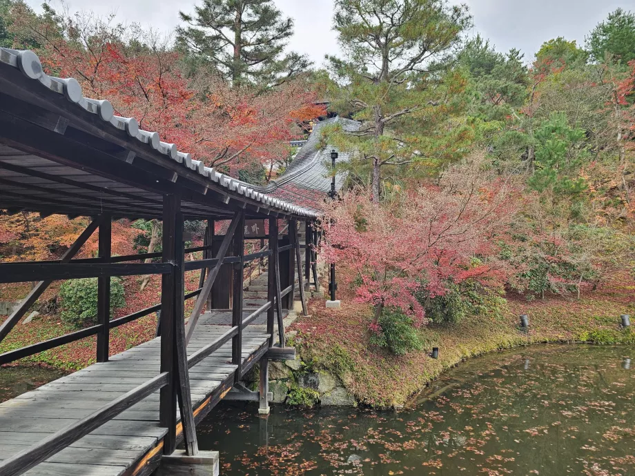 Kodai-ji tempel, haver