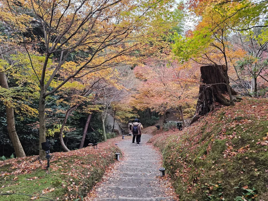 Kodai-ji tempel, haver