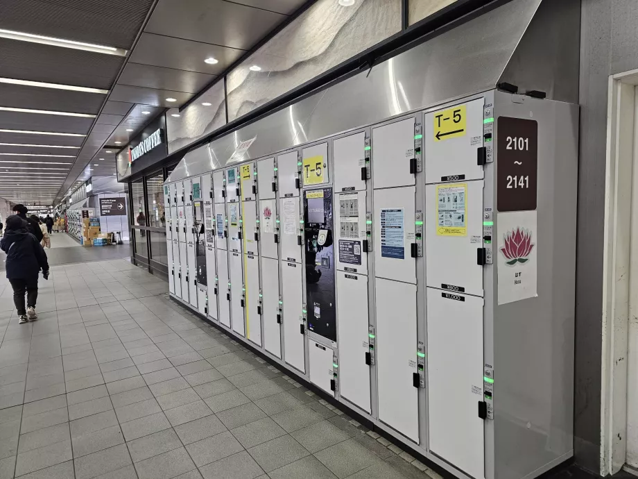 Skabe til opbevaring af bagage