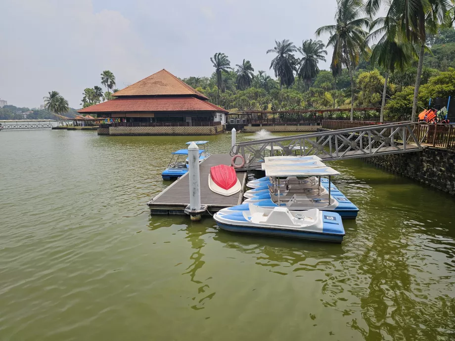 Flip-flops i den botaniske have