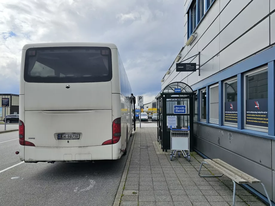 Bus Turvogna