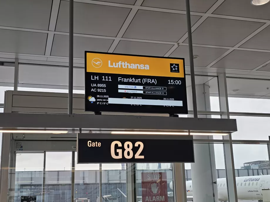 Ombord på flyet til Frankfurt
