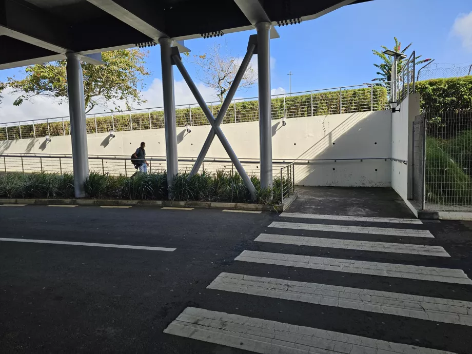 Vejen til busstoppestedet