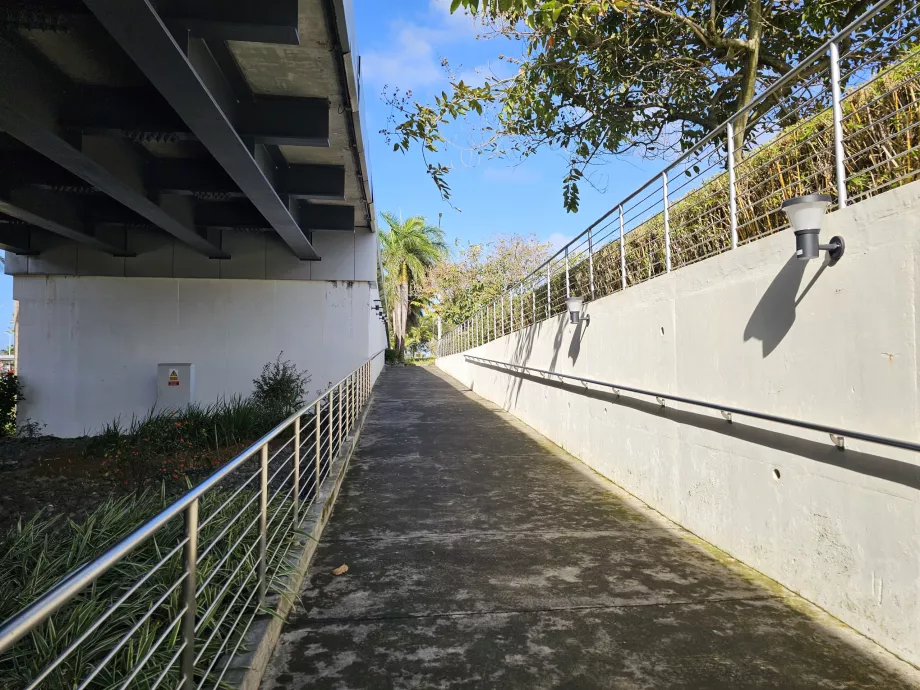 Vejen til busstoppestedet