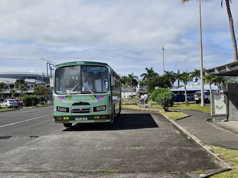 Bus - offentlig transport