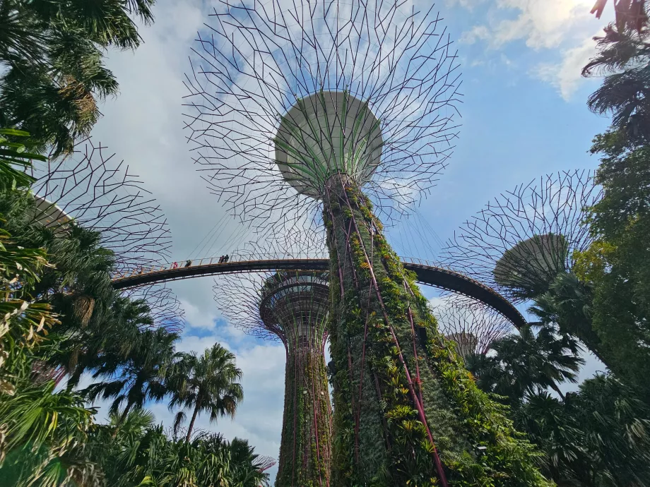 Gardens by the Bay, OCBC Skyway