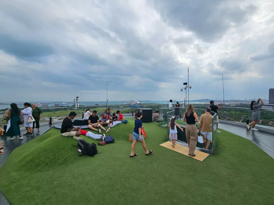 Supertræ-observatorium