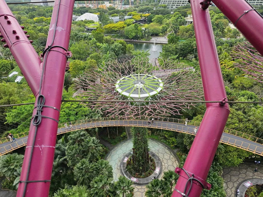 Supertræ-observatorium