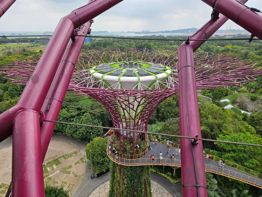 Supertræ-observatorium