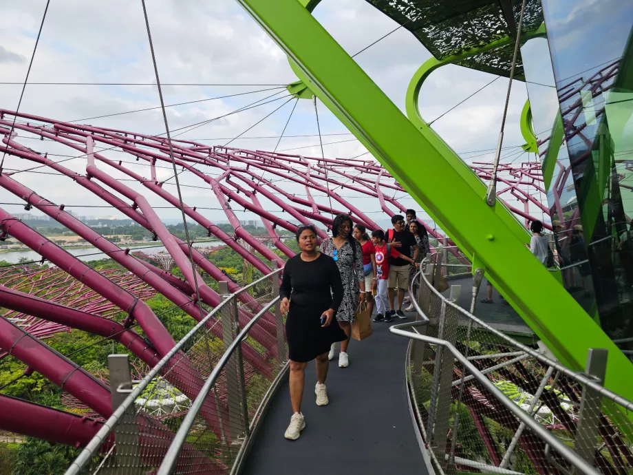 Supertræ-observatorium