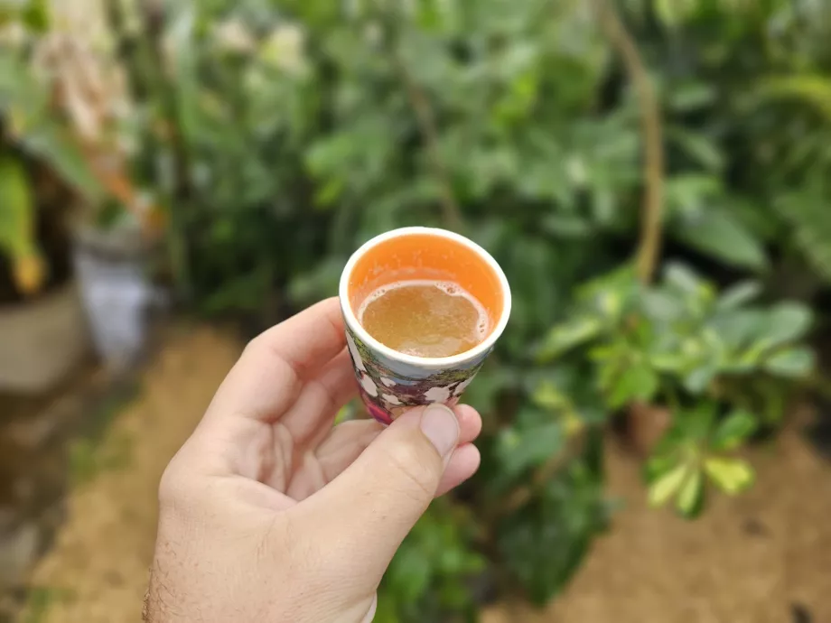 Sukkerrørsjuice