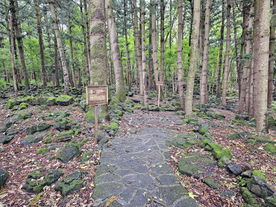 Bras d'Eau National Park, vandresti