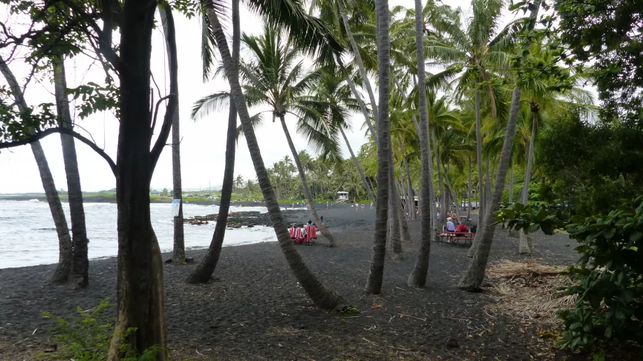 Palmelund på Punaluu-stranden