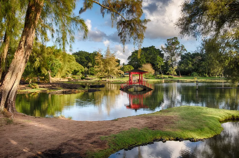 Japansk have Hilo