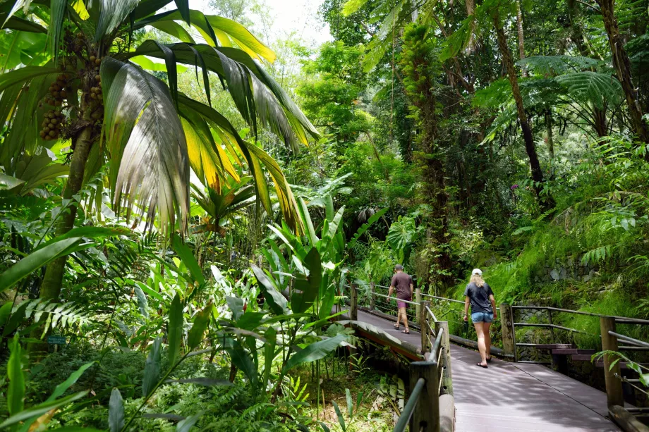 Hawaiis tropiske botaniske have