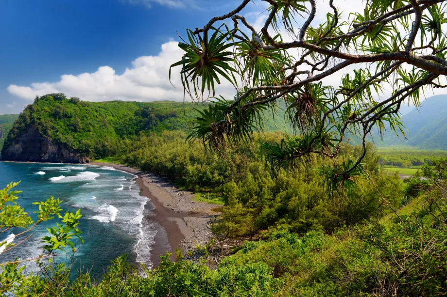 Pololu-stien