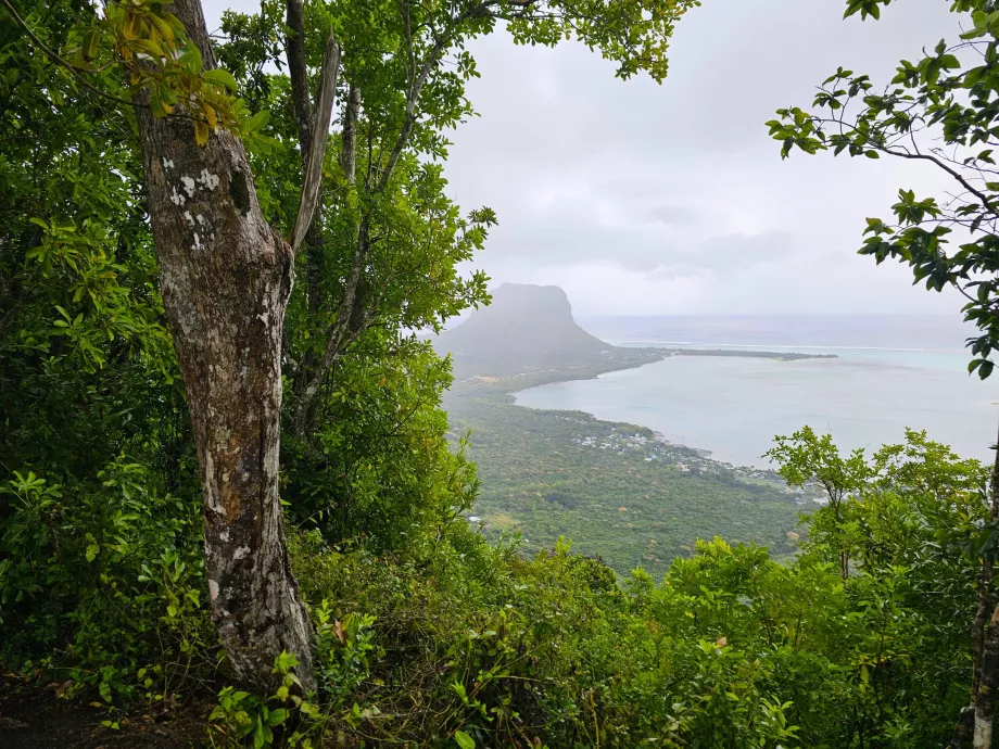 Ebony Forest, udsigt over Le Morne