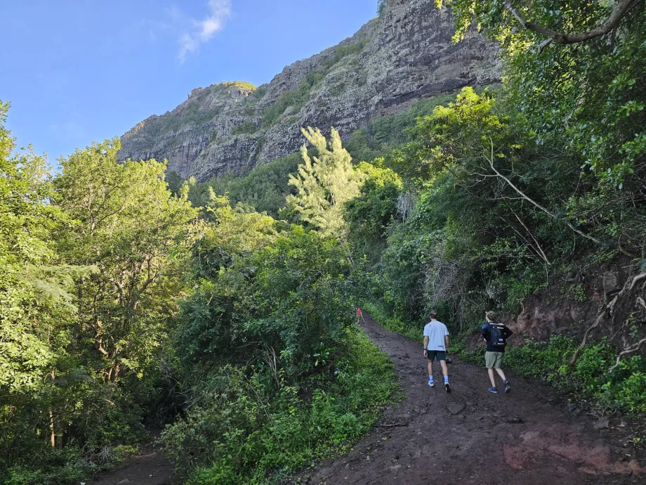 Start på rejsen til Le Morne