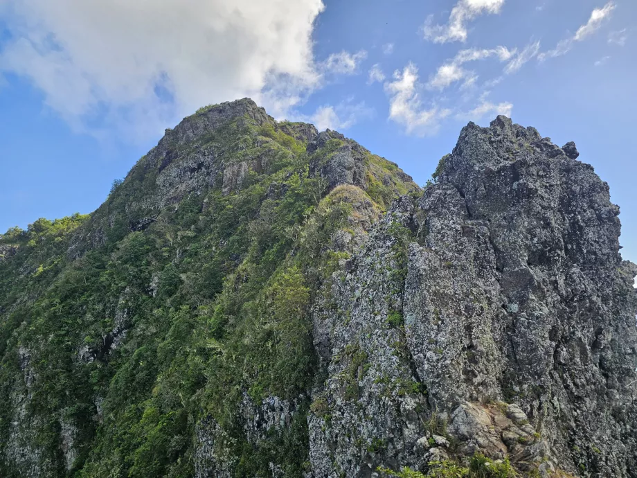 Det virkelige højdepunkt i Le Morne