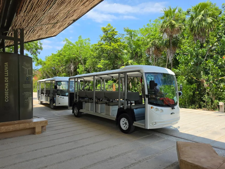 Tulum-udgravningsstedet, transport med elbusser