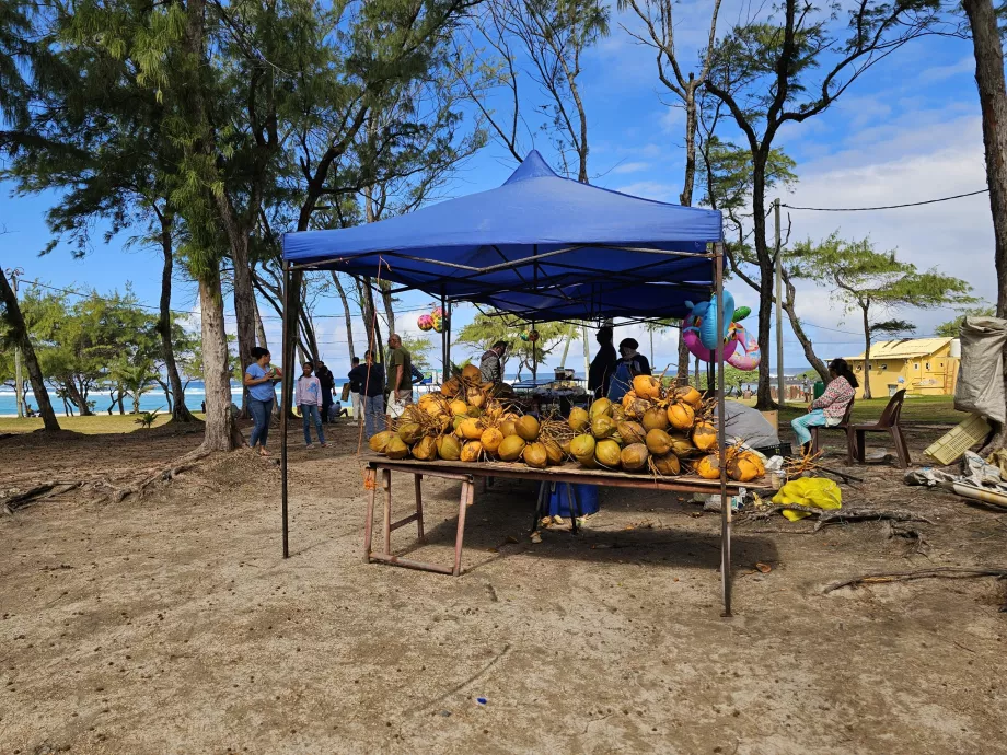 Kokosnødder på stranden