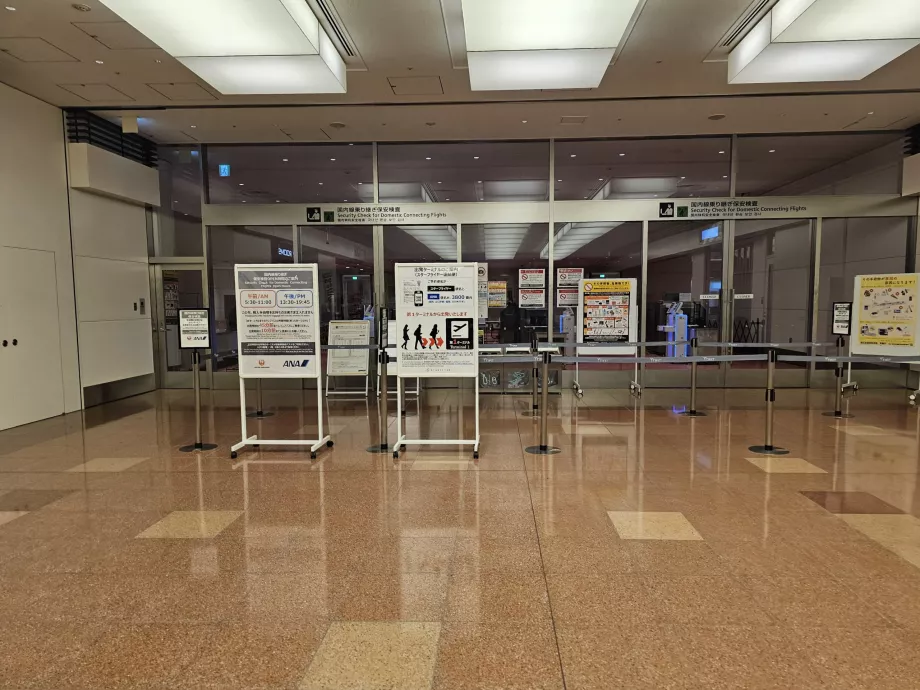 Sikkerhedskontrol for indenrigsflyvninger