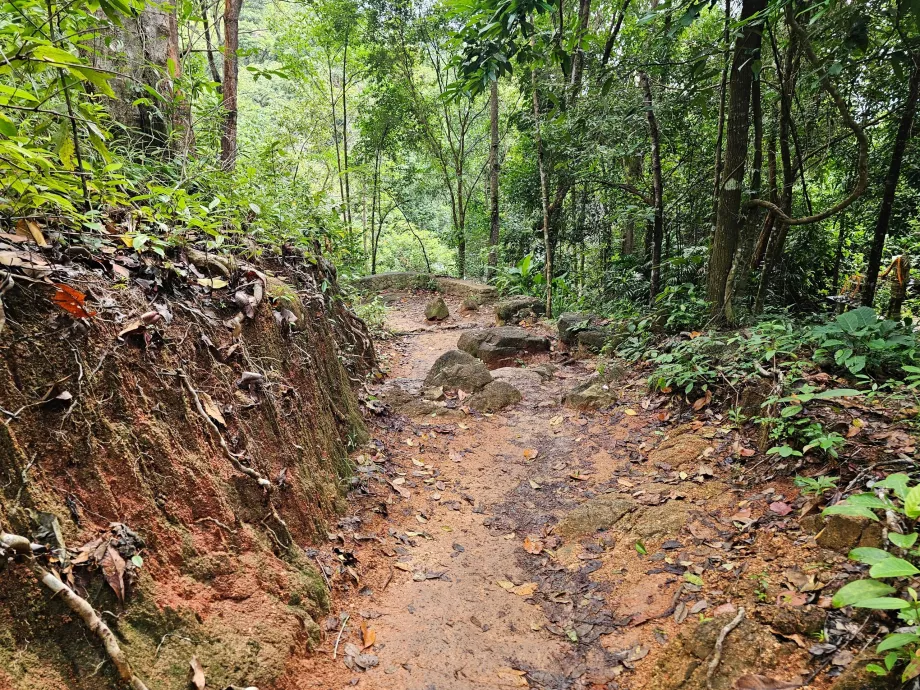 Vejen til Namuang-vandfaldet 2