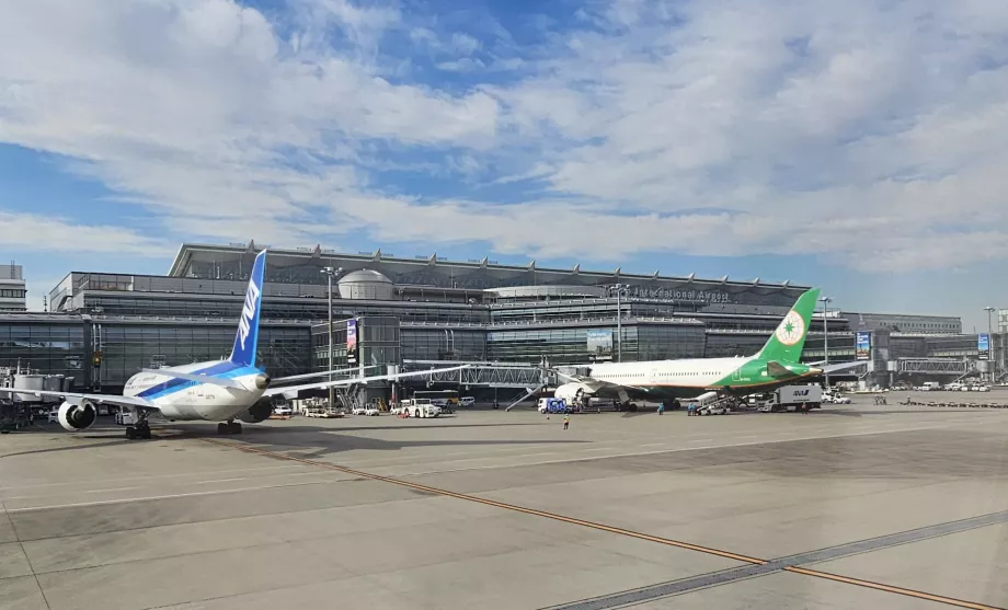 International terminal 3