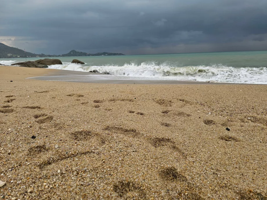 Grovere sand på den sydlige del af Lamai Beach