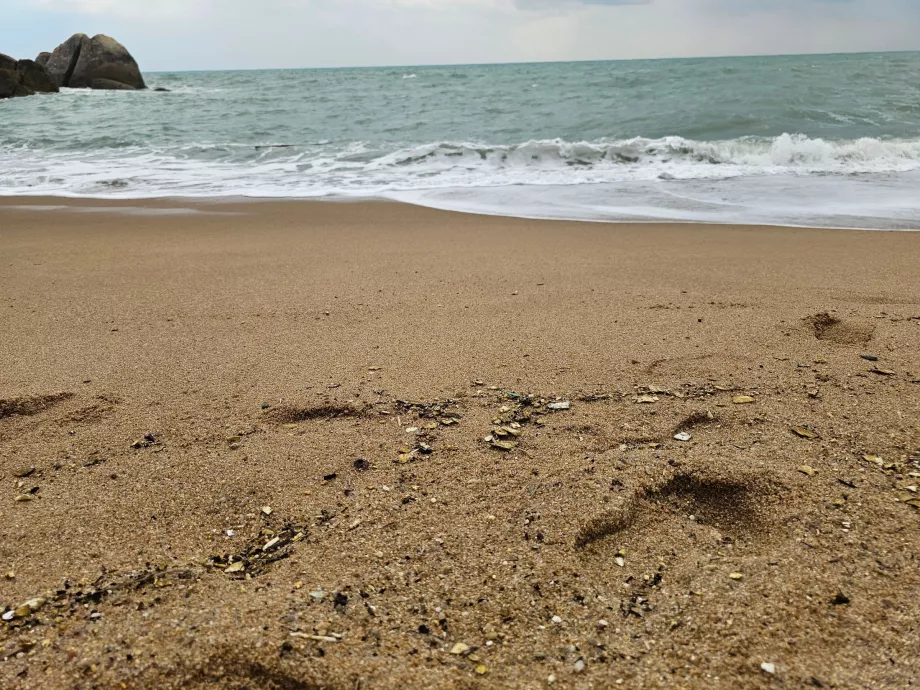 Coral Cove Beach, sandkvalitet