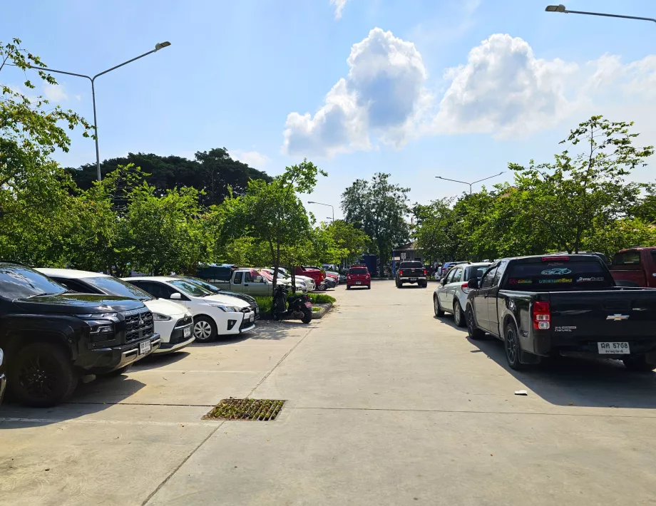 Parkering ved marinaen, afhentning af udlejningsbil