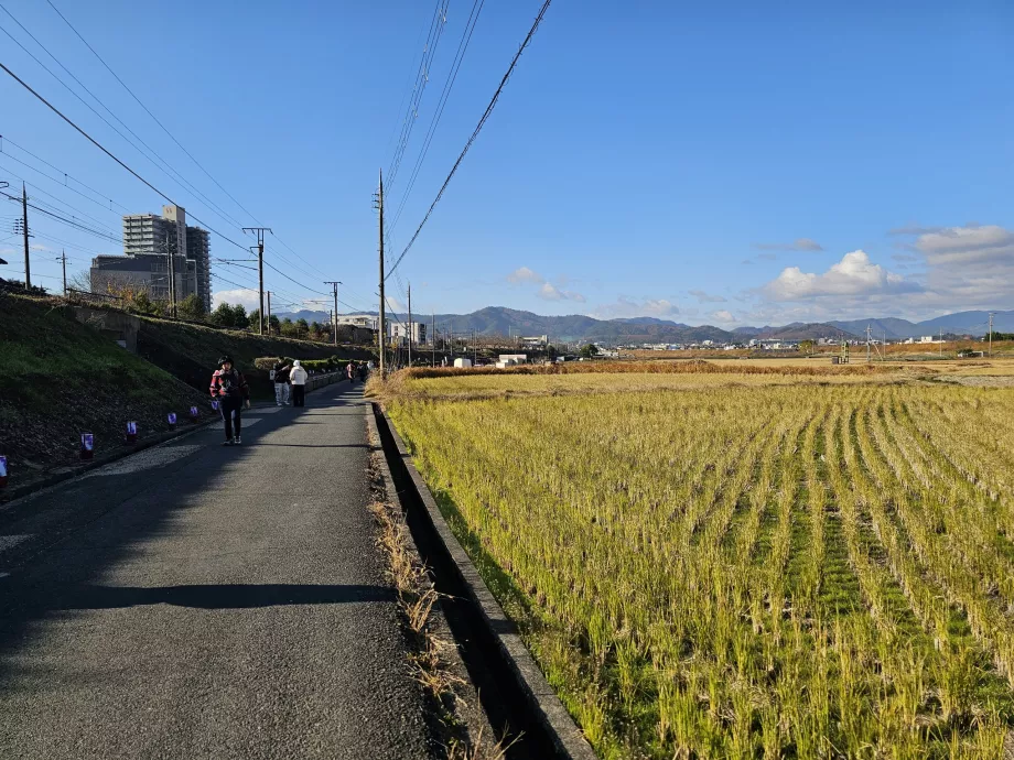 Gå fra stationen til båden