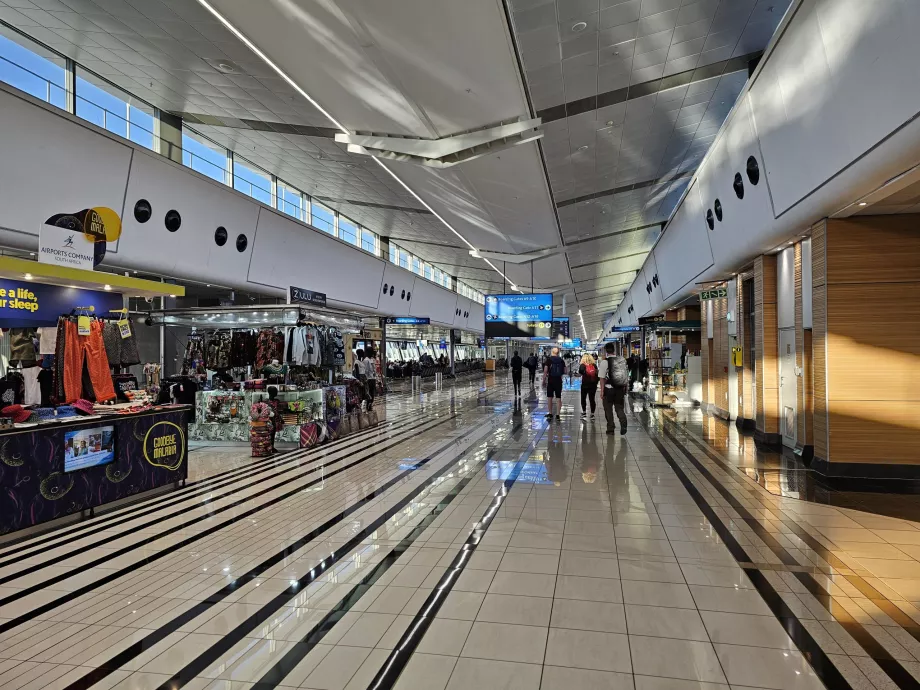Sektion for international transit