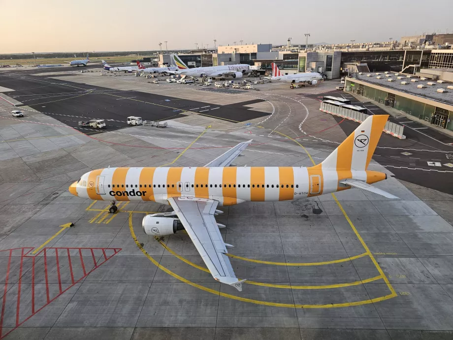 En gul Airbus A320 i Frankfurt Lufthavn