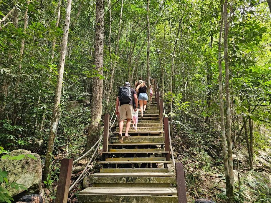 Vejen til vandfaldene
