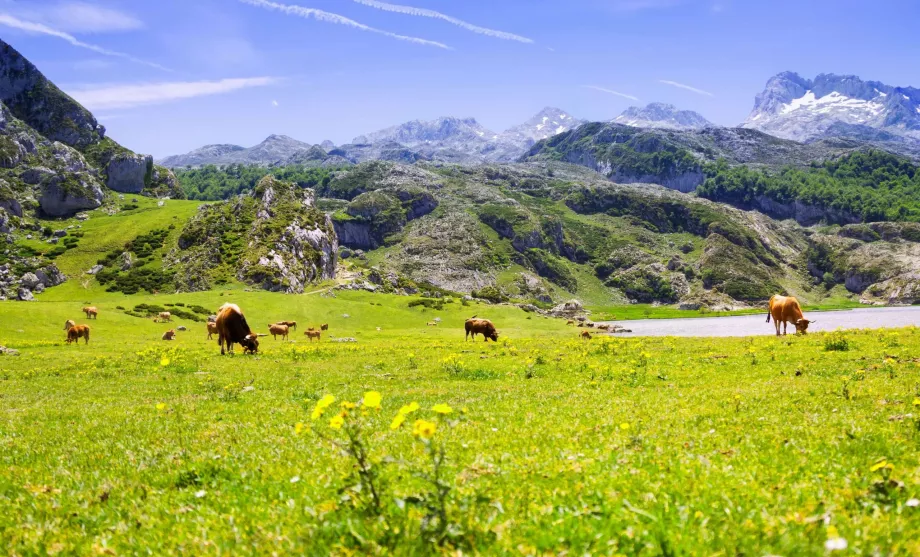 Asturien