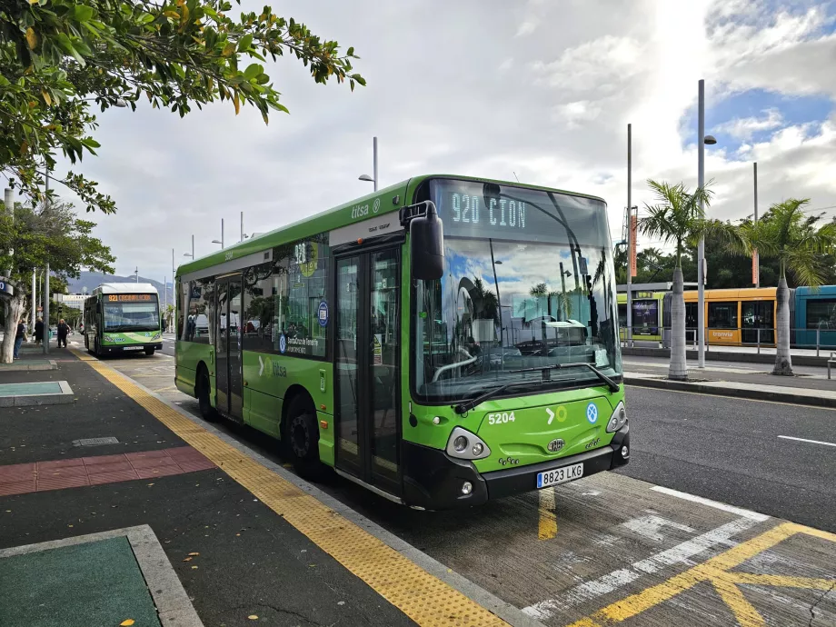 Bus i Santa Cruz
