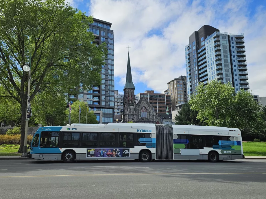 STO-bus
