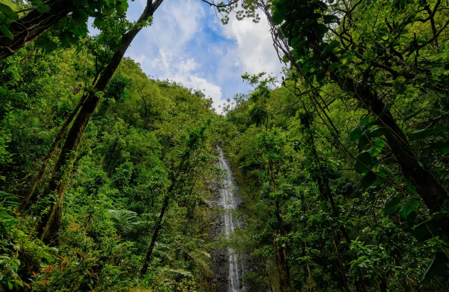 Manoa vandfald
