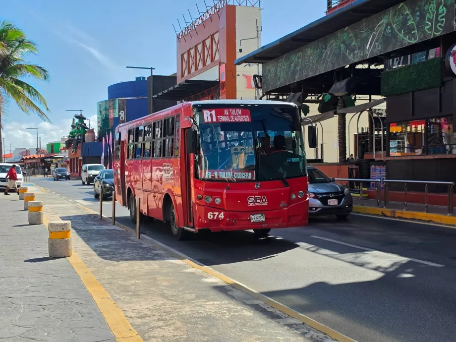 Bybus