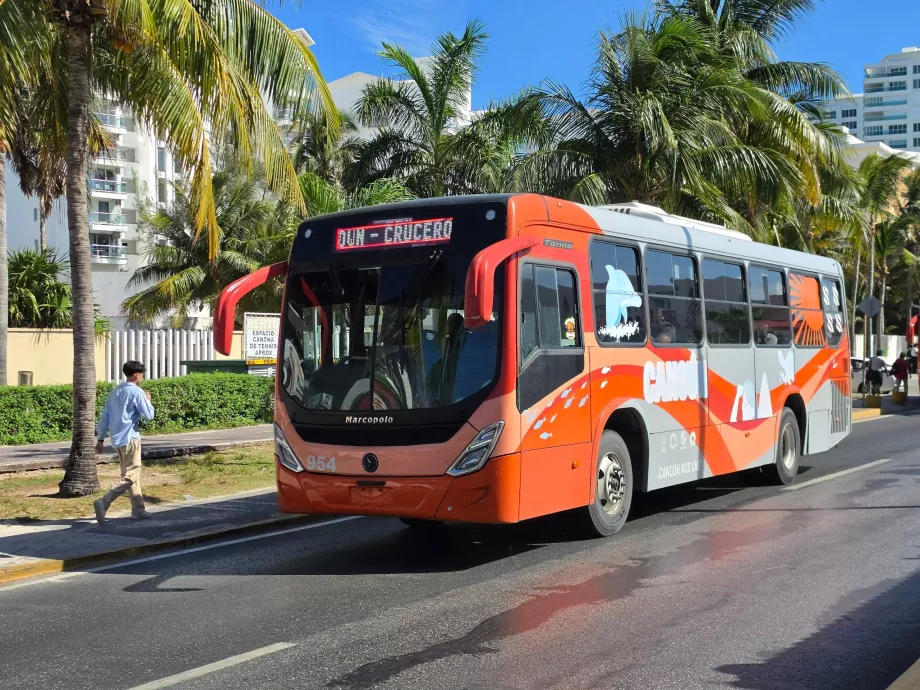 Bybus
