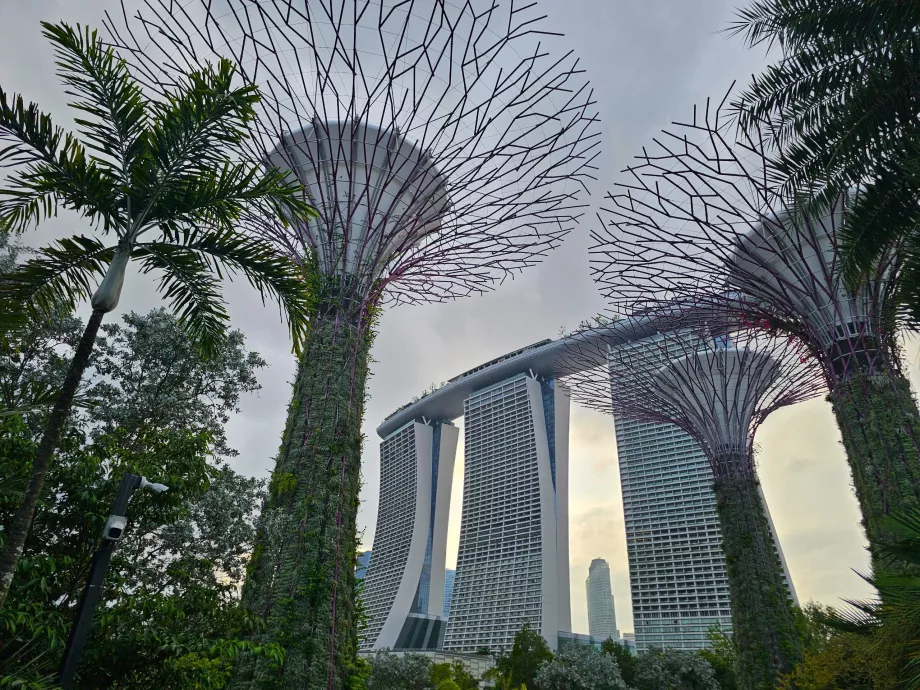 Marina Bay Sands-bygningen set fra Gardens by the Bay