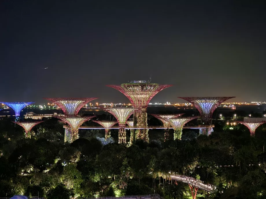 Natudsigt fra værelset