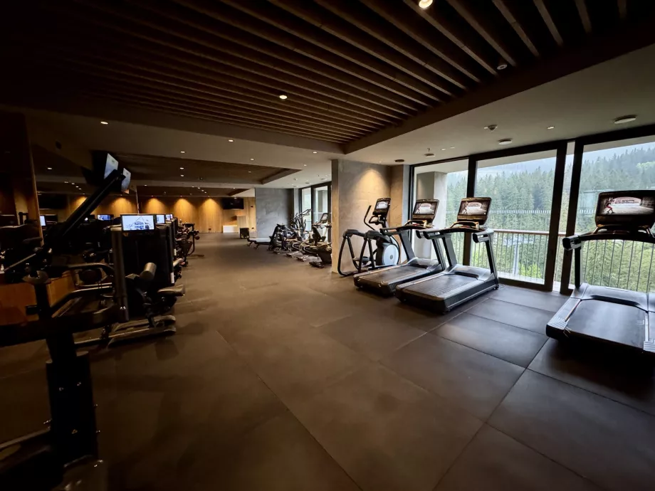 Fitnesscenter Swissotel Damian Jasna