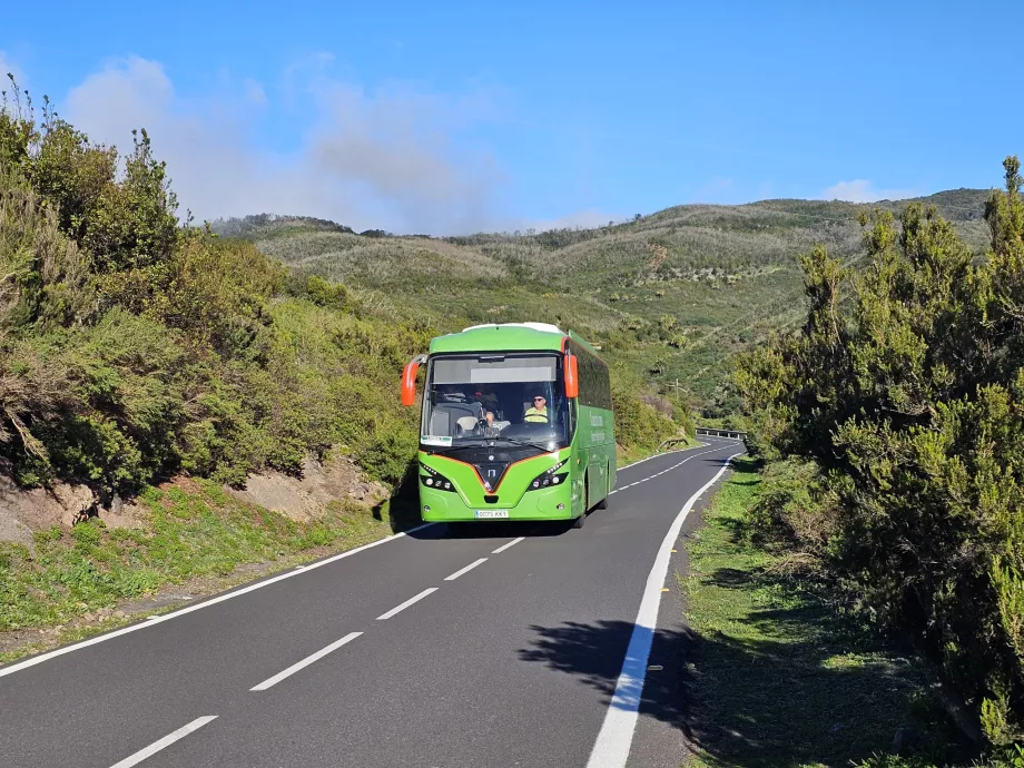 Busser Gomera