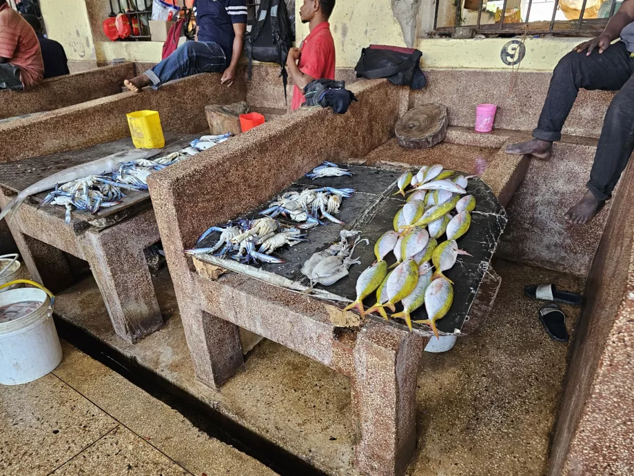 Fiskemarked