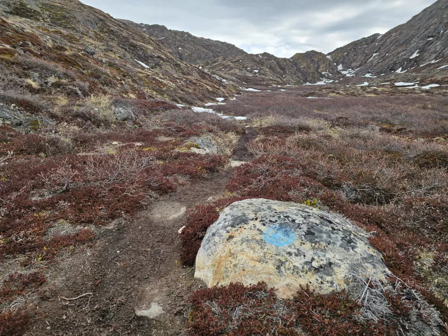 Palasip Qaqqaa-stiskilte