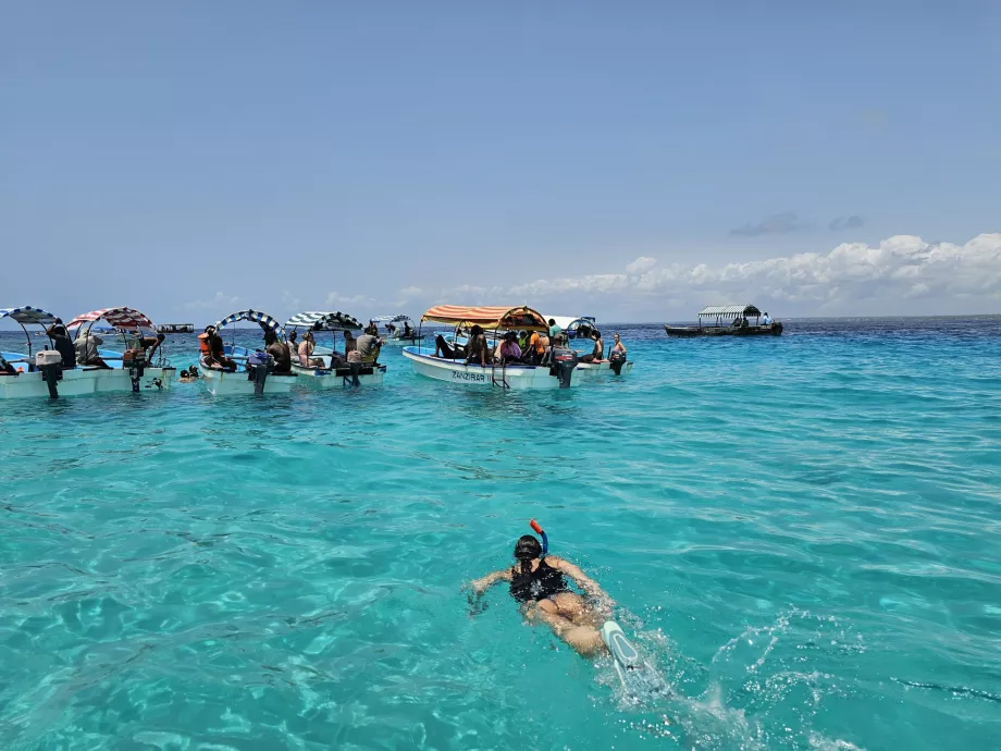 Snorkling nær Mnemba-atollen