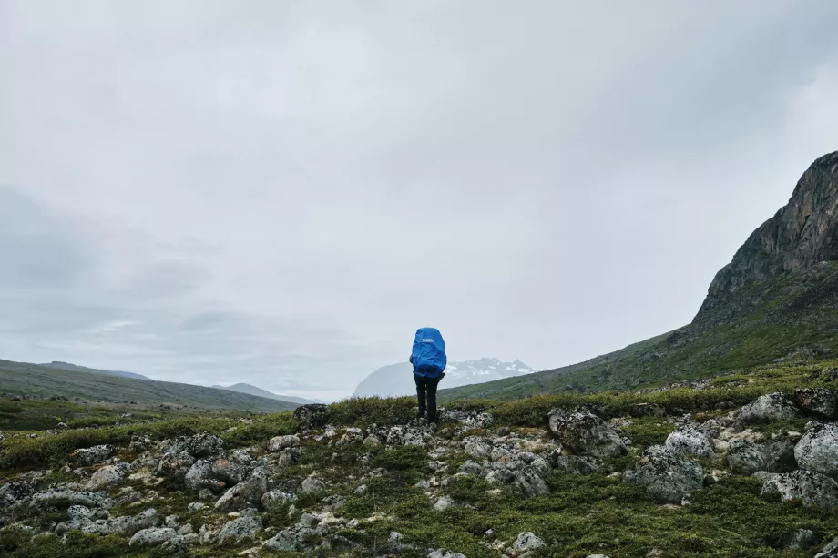 Vandring i Grønland