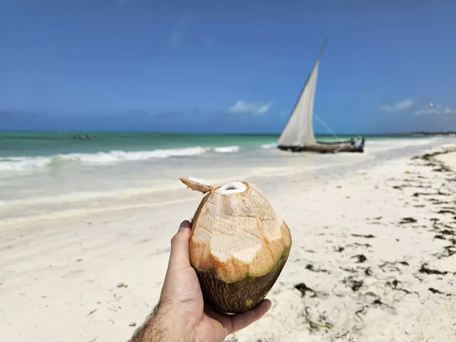 Kokosnød på stranden i Paje